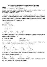 2026届安徽省合肥八中等高三下学期第五次调研考试物理试题含解析