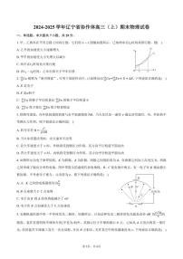 2024-2025学年辽宁省协作体高三（上）期末物理试卷（有答案）