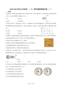 2025-2026学年山东省高一（上）期末模拟物理试卷（一）（有答案）