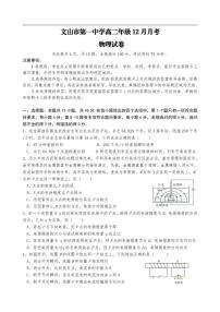 2025-2026学年云南省文山壮族苗族自治州文山市第一中学高二上学期12月月考物理试题（有解析）