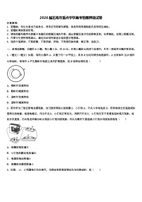 2026届北海市重点中学高考物理押题试卷含解析