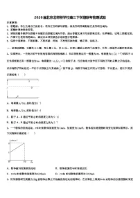 2026届北京北师特学校高三下学期联考物理试题含解析