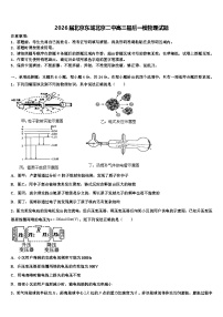 2026届北京东城北京二中高三最后一模物理试题含解析