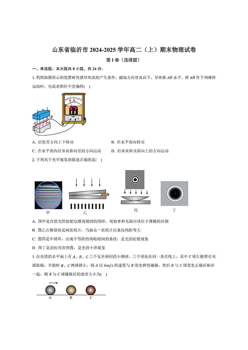 2024-2025学年山东省临沂市高二上学期期末学科素养水平监测物理试卷(有解析)第1页