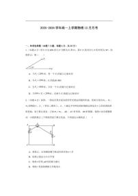 2025-2026学年河南省漯河市临颍县博雅学校高一上学期12月月考物理试卷（有答案）