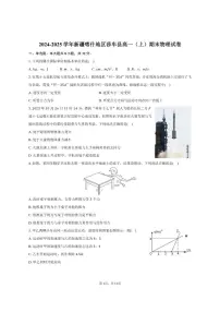 2024-2025学年新疆喀什地区莎车县高一(上)期末物理试卷(有解析)