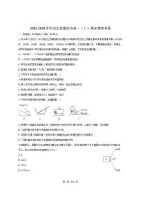 2024-2025学年河北省廊坊市高一（上）期末物理试卷（有解析）