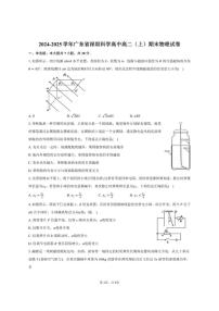 2024-2025学年广东省深圳科学高中高二（上）期末物理试卷（有答案）