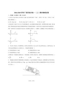 2024-2025学年广西河池市高一（上）期末物理试卷（有答案）