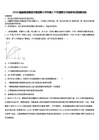 2026届福建省莆田市莆田第六中学高三下学期第五次调研考试物理试题含解析