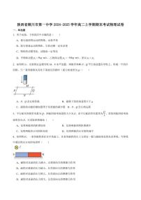 2024-2025学年陕西省铜川市第一中学高二上学期期末物理试卷（有答案）