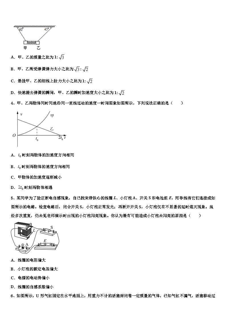 2026届福建省永春一中等四校中学高考物理倒计时模拟卷含解析第2页