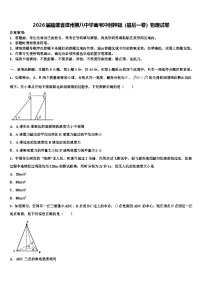 2026届福建省漳州第八中学高考冲刺押题（最后一卷）物理试卷含解析