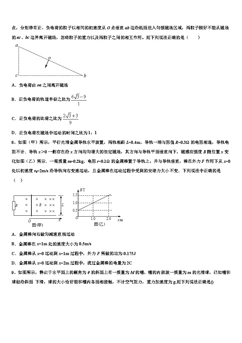 2026届甘肃省金昌市永昌县四中高考冲刺模拟物理试题含解析第3页
