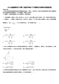 2026届福建师范大学第二附属中学高三下学期第五次调研考试物理试题含解析