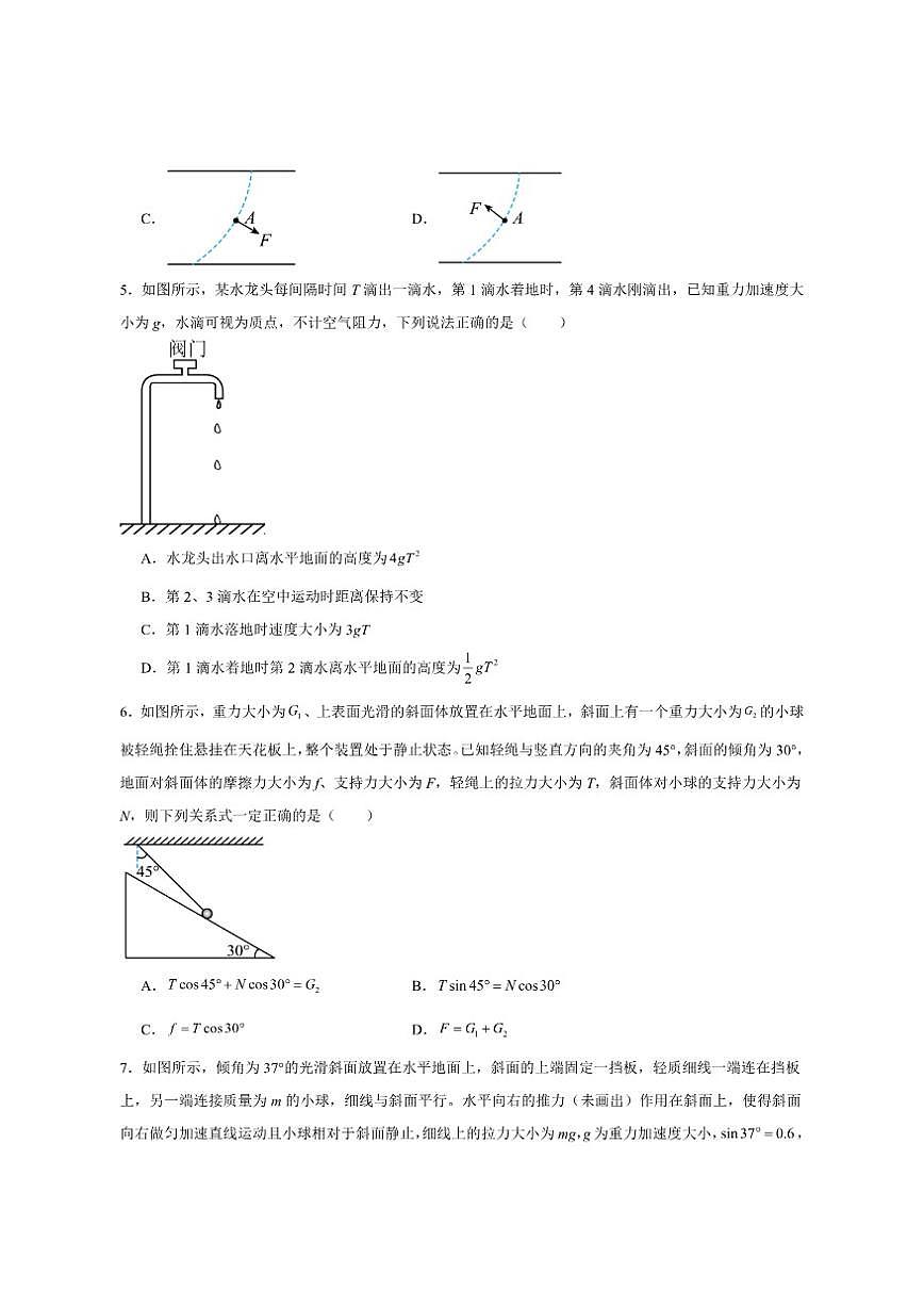 2024-2025学年河北省承德市高一上学期期末考试物理试卷(有解析)第2页