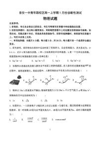 山东省泰安第一中学青年路校区20205-2026学年高一上学期1月份诊断性测试物理试题（月考）(001)
