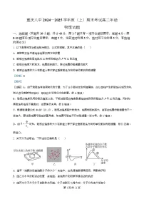 重庆市第八中学2024-2025学年高二上学期期末考试物理试卷(Word版附解析)