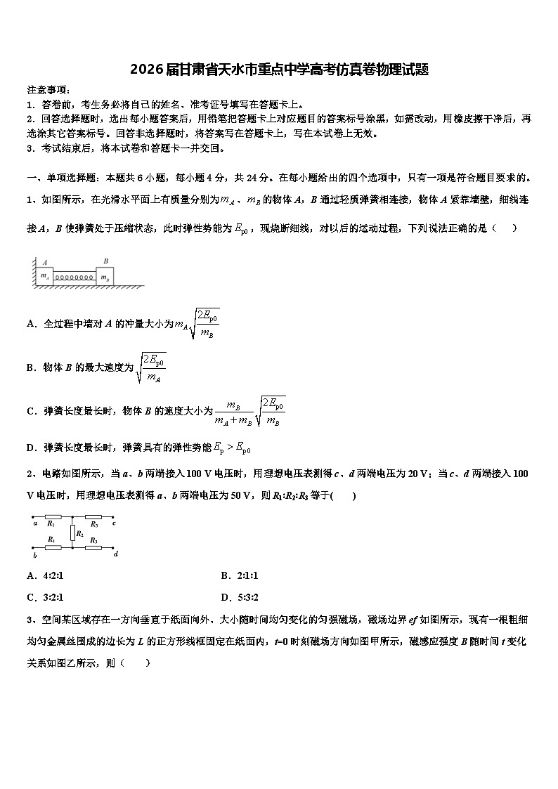 2026届甘肃省天水市重点中学高考仿真卷物理试题含解析第1页