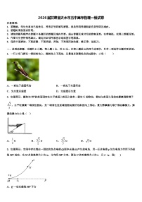 2026届甘肃省天水市五中高考物理一模试卷含解析