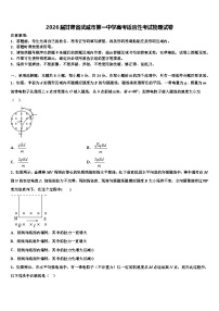2026届甘肃省武威市第一中学高考适应性考试物理试卷含解析