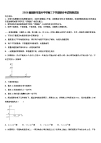 2026届固原市重点中学高三下学期联合考试物理试题含解析