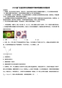 2026届广东省东莞市东莞高级中学高考物理倒计时模拟卷含解析