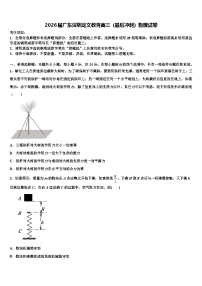 2026届广东深圳龙文教育高三（最后冲刺）物理试卷含解析