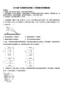 2026届广东华南师大附中高三3月份模拟考试物理试题含解析