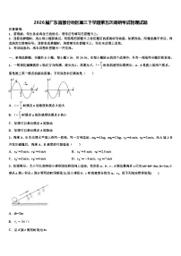 2026届广东省部分地区高三下学期第五次调研考试物理试题含解析