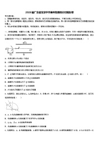 2026届广东省宝安中学高考物理倒计时模拟卷含解析