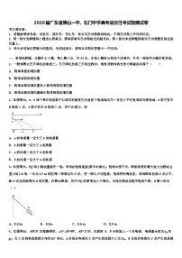 2026届广东省佛山一中、石门中学高考适应性考试物理试卷含解析