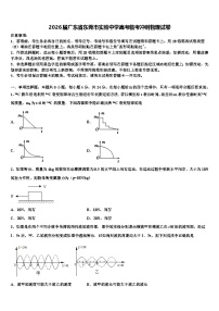 2026届广东省东莞市实验中学高考临考冲刺物理试卷含解析