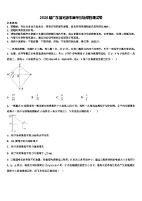 2026届广东省河源市高考压轴卷物理试卷含解析