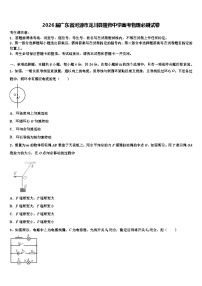 2026届广东省河源市龙川县隆师中学高考物理必刷试卷含解析