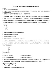 2026届广东省华南师大附中高考物理三模试卷含解析