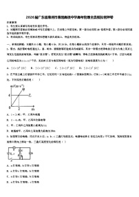 2026届广东省惠州市惠阳高级中学高考物理全真模拟密押卷含解析