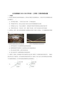 2024-2025学年山东省聊城市高一上学期期末教学质量抽测物理试卷（有解析）