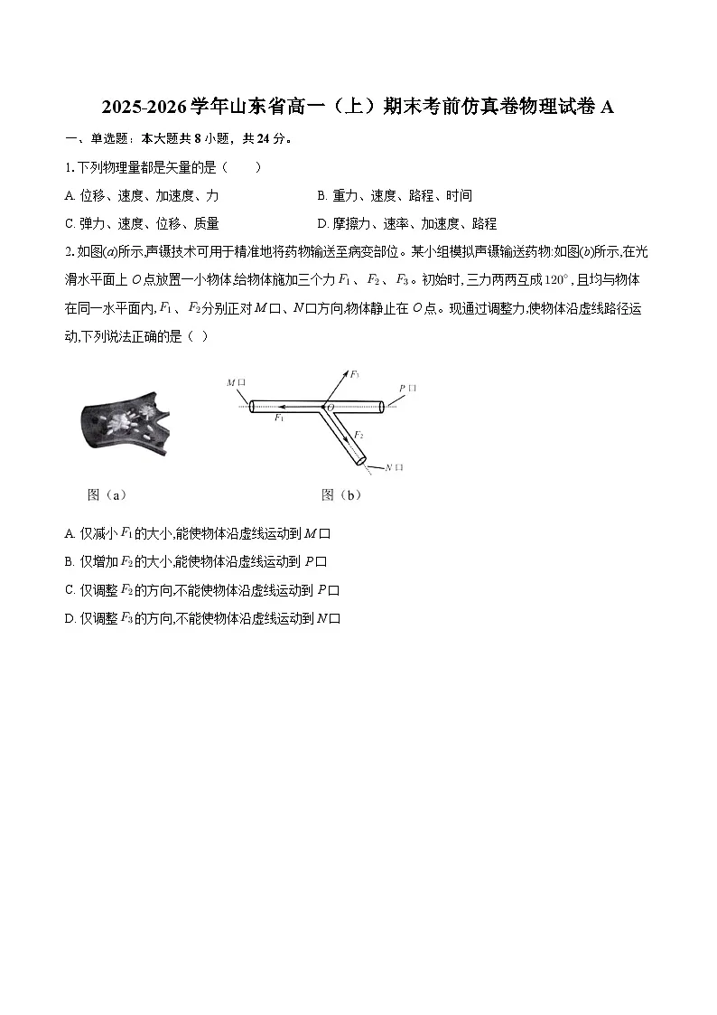 2025-2026学年山东省高一(上)期末考前仿真卷物理试卷A-自定义类型第1页
