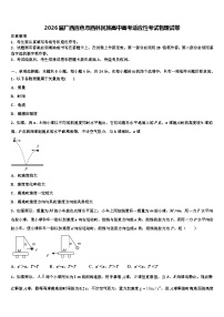 2026届广西百色市西林民族高中高考适应性考试物理试卷含解析