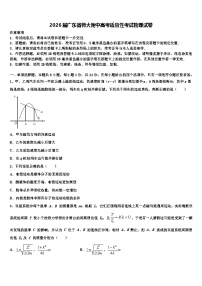 2026届广东省师大附中高考适应性考试物理试卷含解析