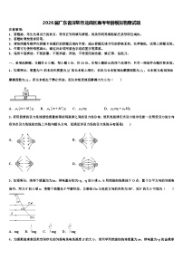 2026届广东省深圳市龙岗区高考考前模拟物理试题含解析