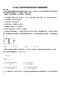 2026届广东省深圳市罗湖外语学校高三压轴卷物理试卷含解析