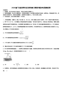 2026届广东省深圳市龙文教育高三第四次模拟考试物理试卷含解析