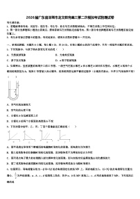 2026届广东省深圳市龙文教育高三第二次模拟考试物理试卷含解析