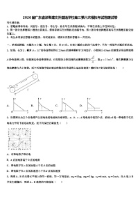 2026届广东省深圳建文外国语学校高三第六次模拟考试物理试卷含解析