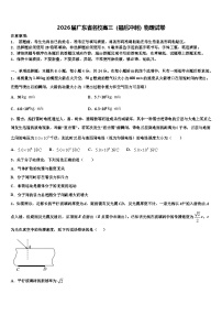 2026届广东省名校高三（最后冲刺）物理试卷含解析