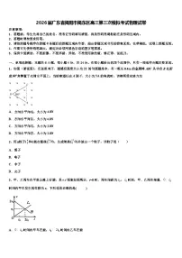 2026届广东省揭阳市揭东区高三第三次模拟考试物理试卷含解析