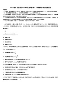 2026届广东省中山市一中丰山学部高三下学期联合考试物理试题含解析