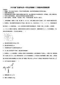 2026届广东省中山市一中丰山学部高三二诊模拟考试物理试卷含解析